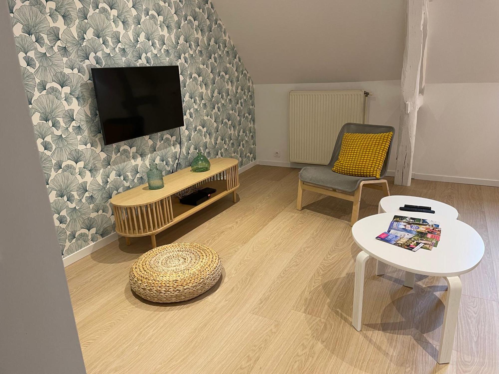 Châteauvieux Family Loft A 5Minutes Du Zooparc De Beauval 빌라 외부 사진